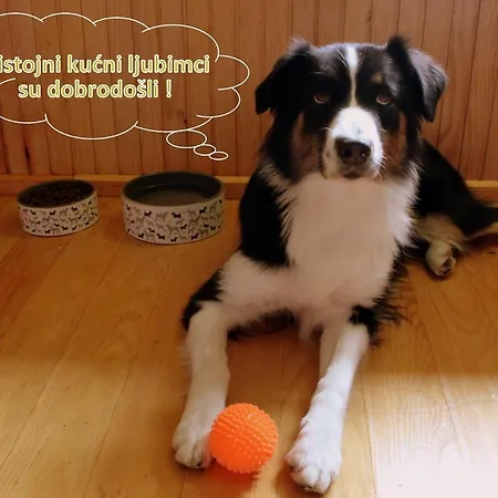 Kuca Za Odmor Gorski Kotar Chalet