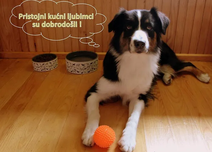 Kuca Za Odmor Gorski Kotar 샬레