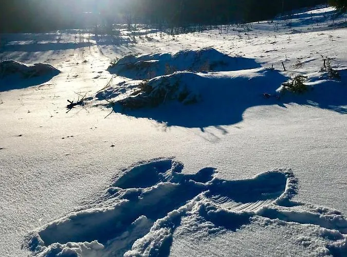 Alpesi faház Kuca Za Odmor Gorski Kotar